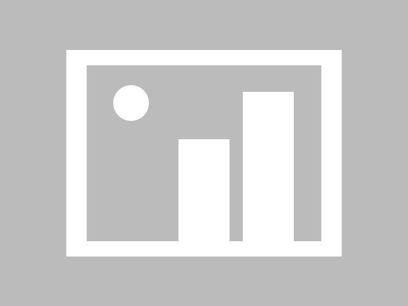 深入了解MK体育对市场趋势的精准把控