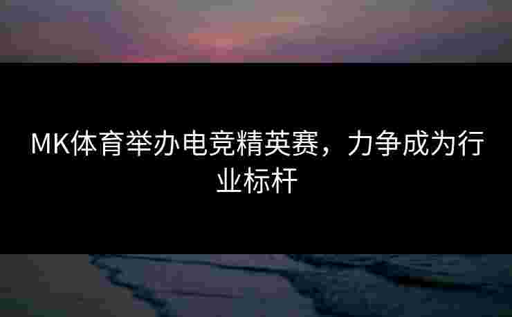 MK体育举办电竞精英赛，力争成为行业标杆