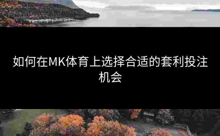 如何在MK体育上选择合适的套利投注机会
