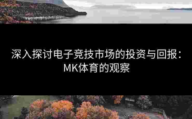 深入探讨电子竞技市场的投资与回报：MK体育的观察