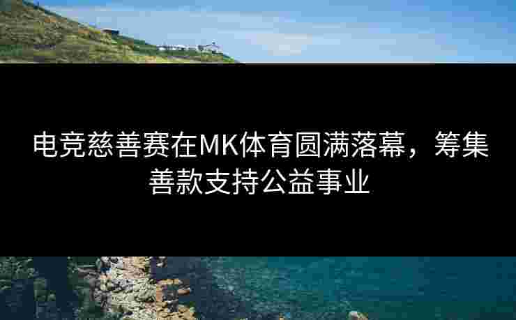 电竞慈善赛在MK体育圆满落幕，筹集善款支持公益事业